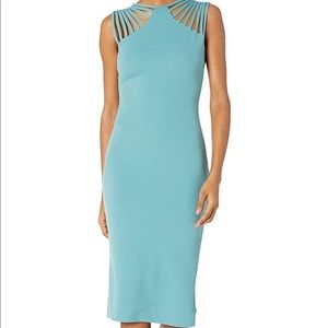 Dress the Population Midi Dress